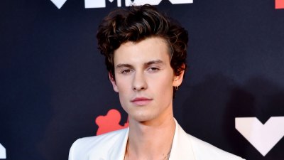 Everything Shawn Mendes Has Said About His Mental Health Battle