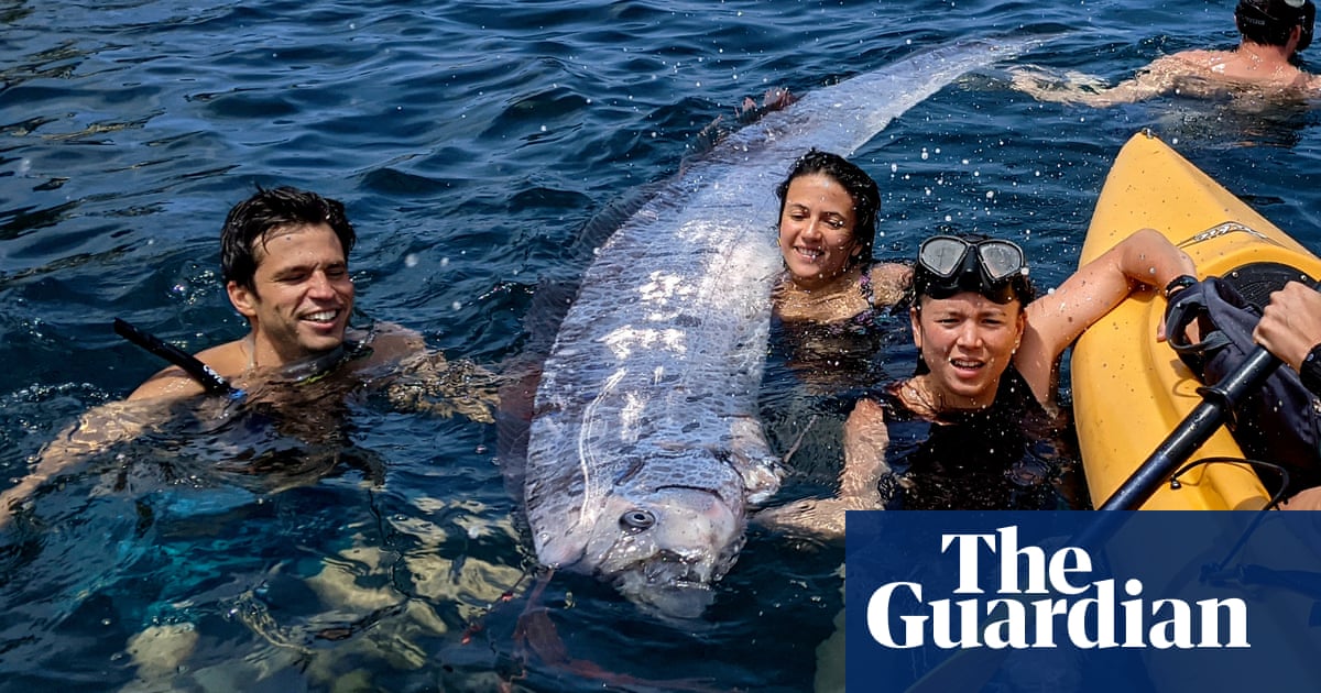 ‘Strange and mysterious’: rarely seen, 12ft-long oarfish found in waters off San Diego | California