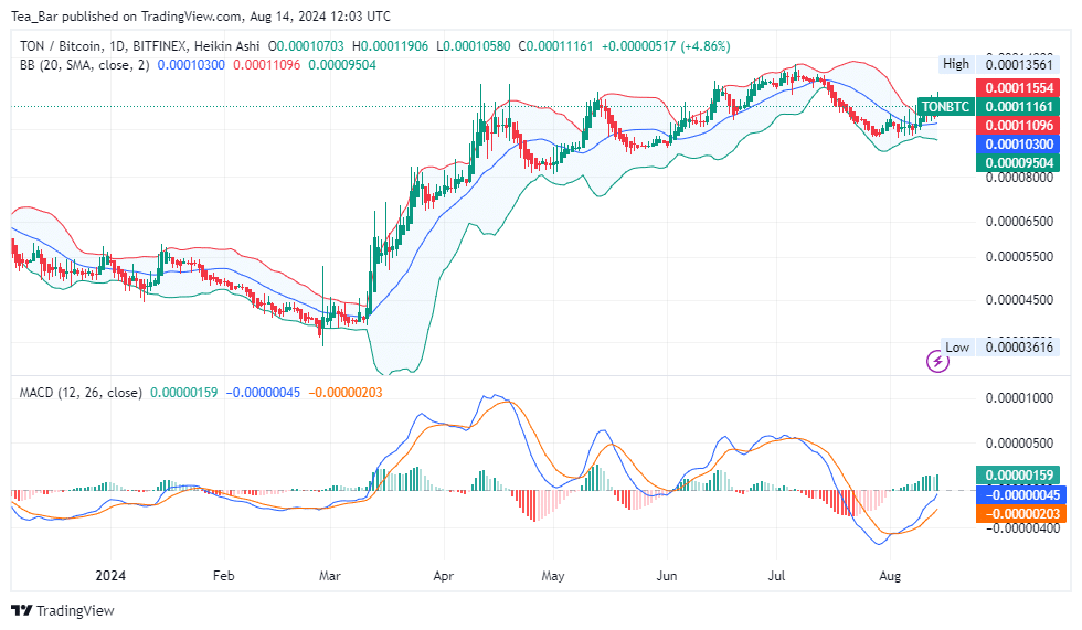 Toncoin Price Analysis for Today, August 14 – TON Technical Analysis