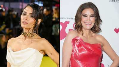 Celebrities Who Were Professional Cheerleaders- Sarah Shahi Teri Hatcher and More 069