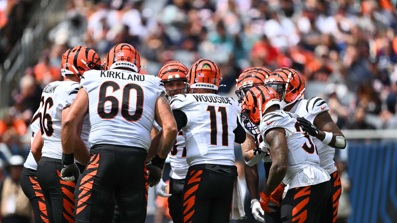 Bengals Backups Get Long Look In Loss To Bears