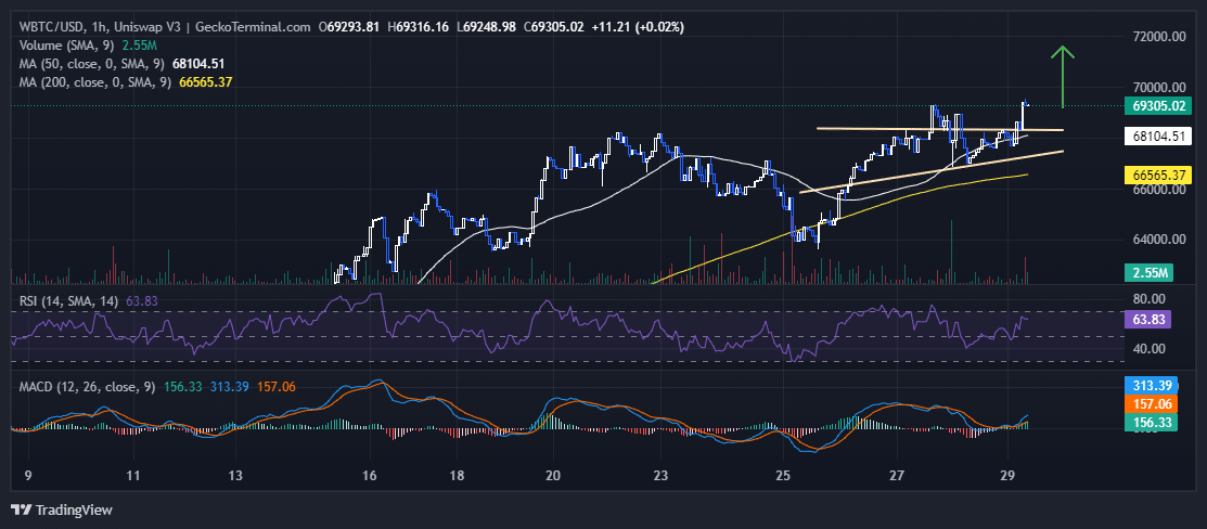 Bitcoin Price Chart Analysis Source: GeckoTerminal.com