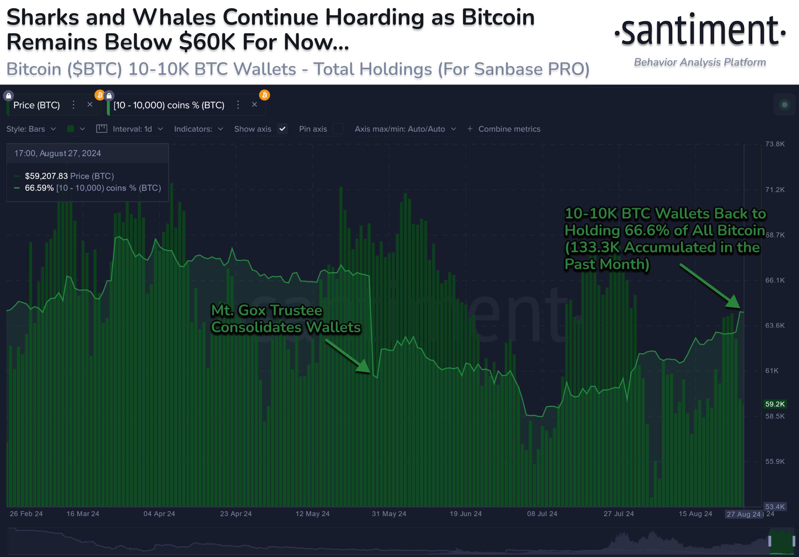 Bitcoin Sharks & Whales