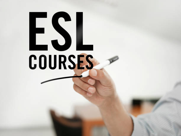 Comprehensive ESL Lesson Plans: Enhance English Skills with AmeriLingua's Engaging and Effective Resources