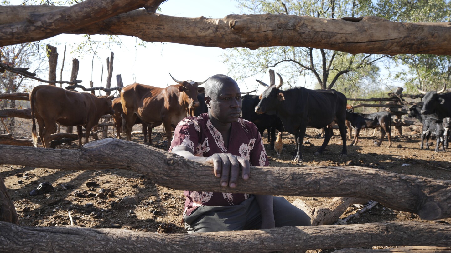 He once poached the wild animals of Zimbabwe. Now he preaches against it