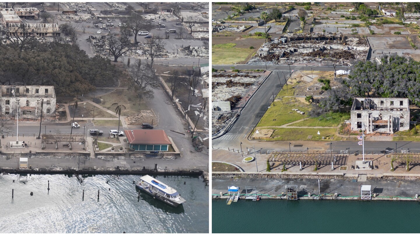 How Lahaina's more than 150-year-old banyan tree is coming back to life after devastating fire