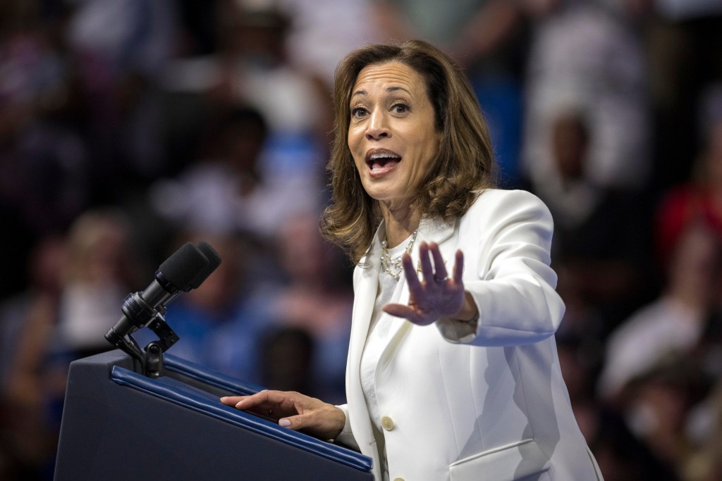 Kamala Harris’ inaugural sit-down was most notable for seeming … ordinary – Times Herald Online