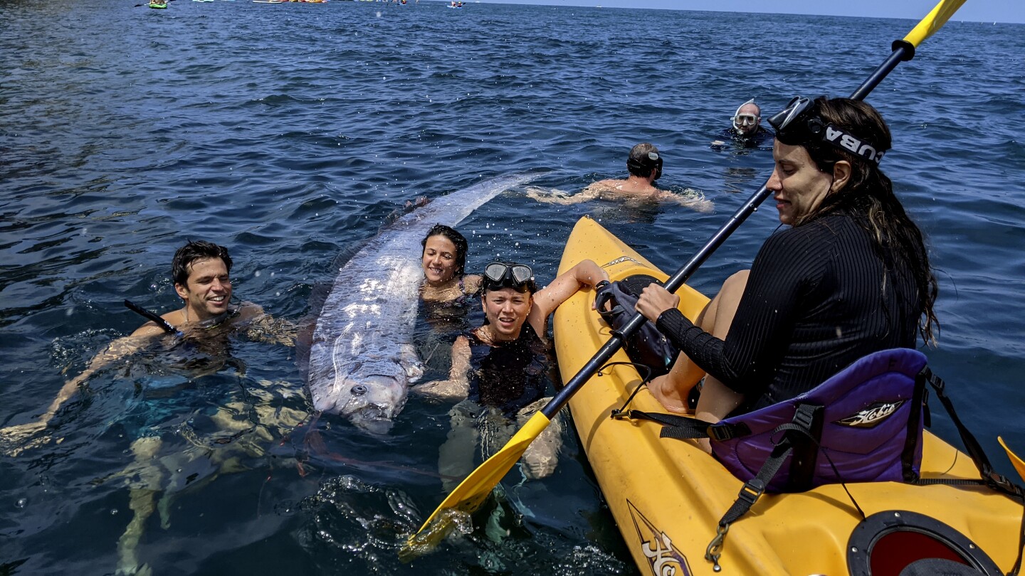 Oarfish found off San Diego coast, and scientists want to know why