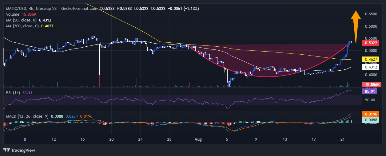 Polygon Price Chart Analysis Source: GeckoTerminal.com