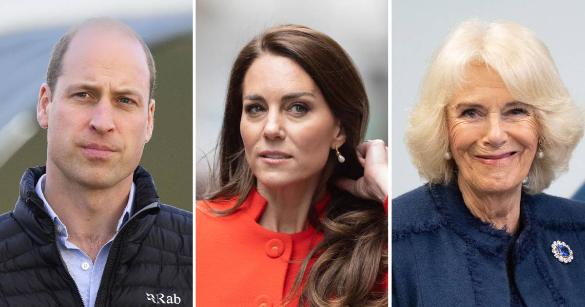 Prince William, Kate Middleton's Ups and Downs With Queen Camilla