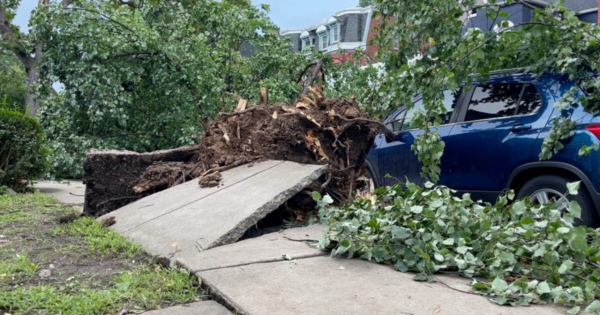 Residents on Buffalo's West Side react to tornado