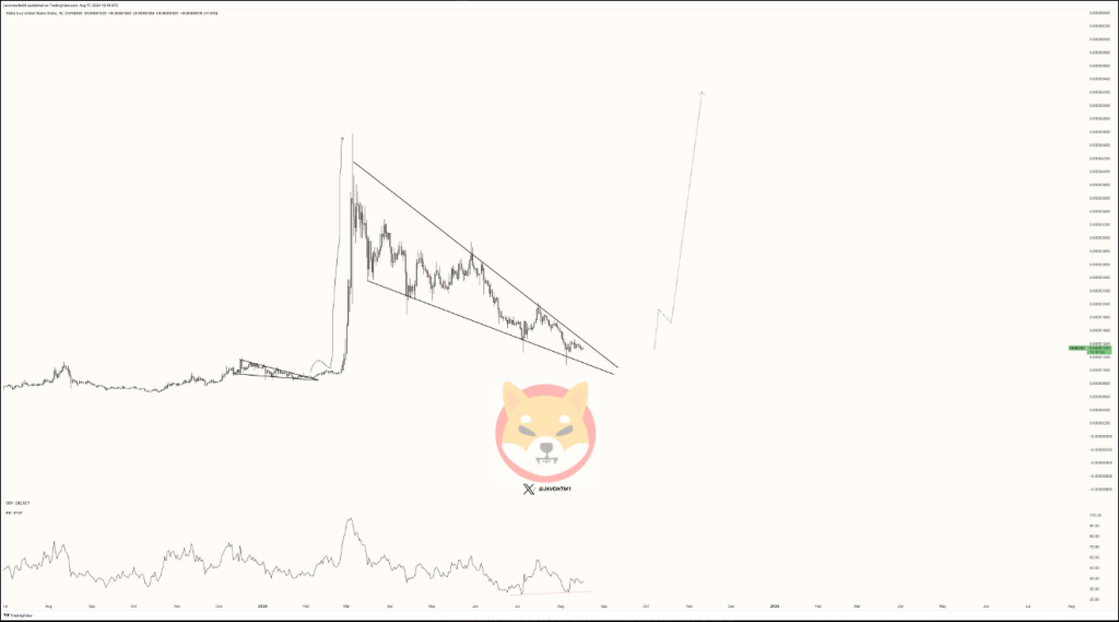 Shiba Inu Skyrocketing Potential: Could SHIB Surge 500%?