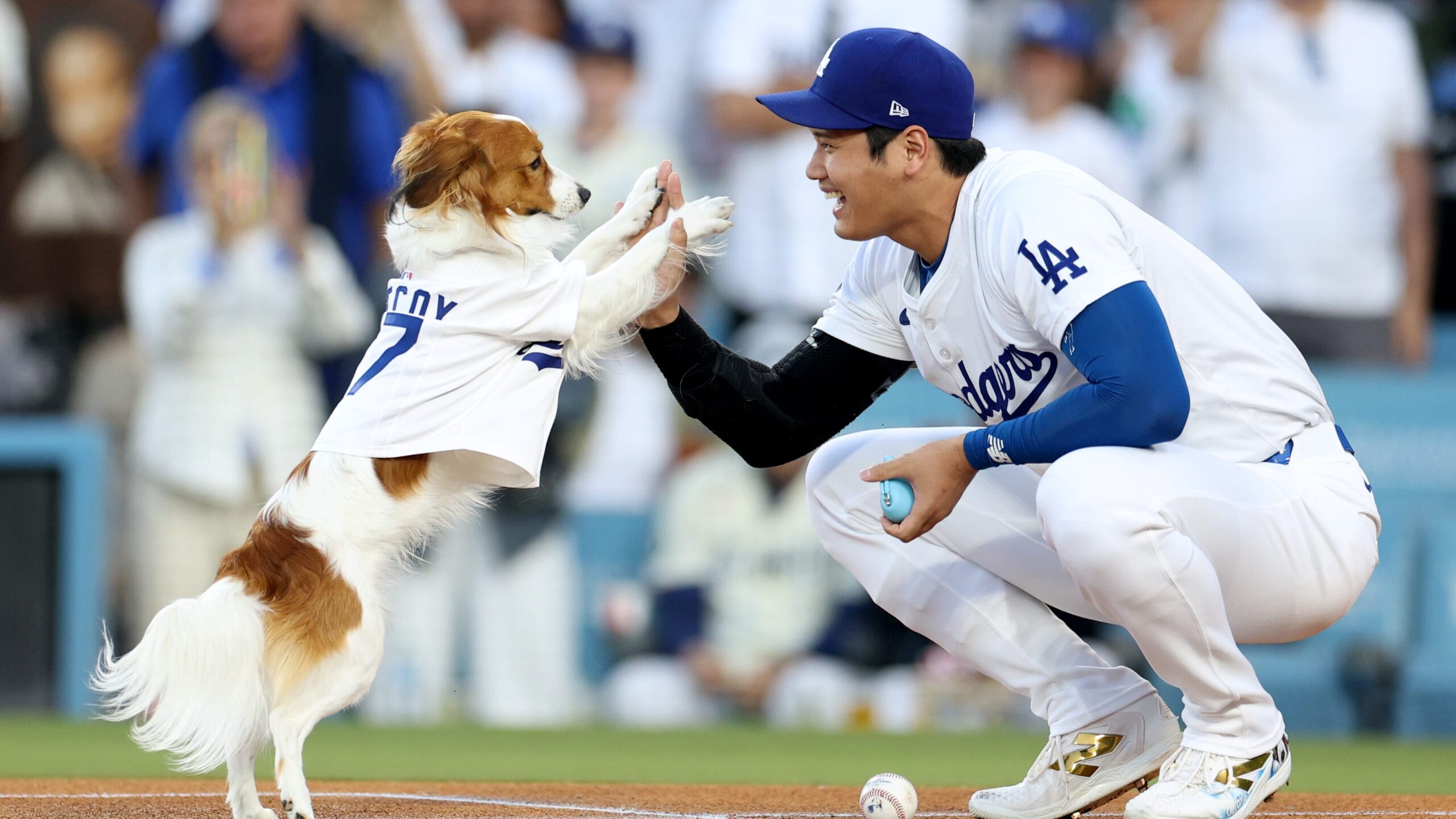 Shohei Ohtani, Decoy gift perfect reward to disappointed Dodgers bobblehead seekers