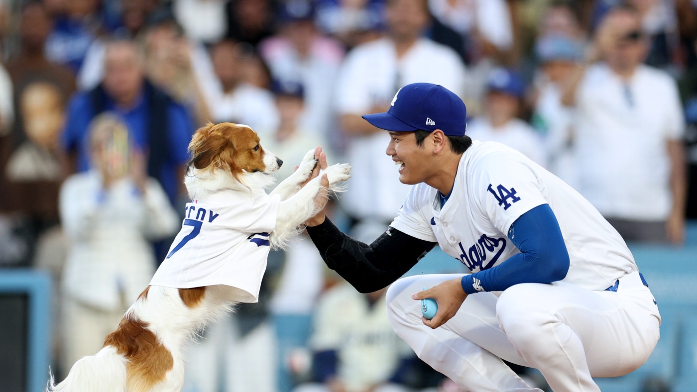 Shohei Ohtani’s dog ‘threw’ 1st pitch at Dodgers game : NPR