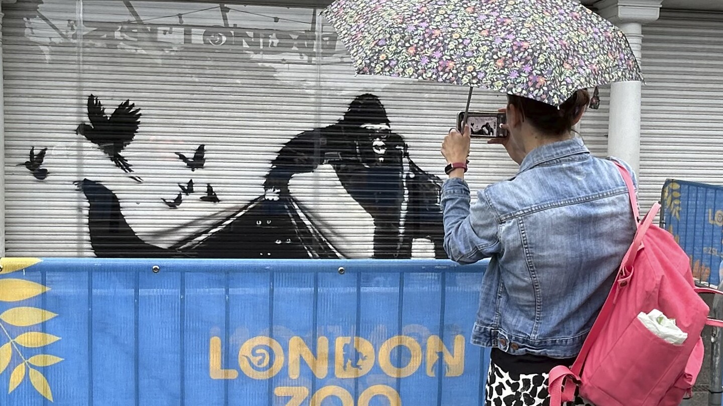 The paint is dry on Banksy's animal-themed street art that appeared across London over 9 days