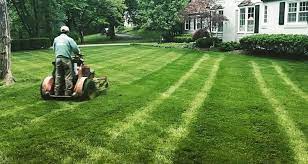 Transform Your Yard: Top Lawn Care Services for a Lush Green Lawn