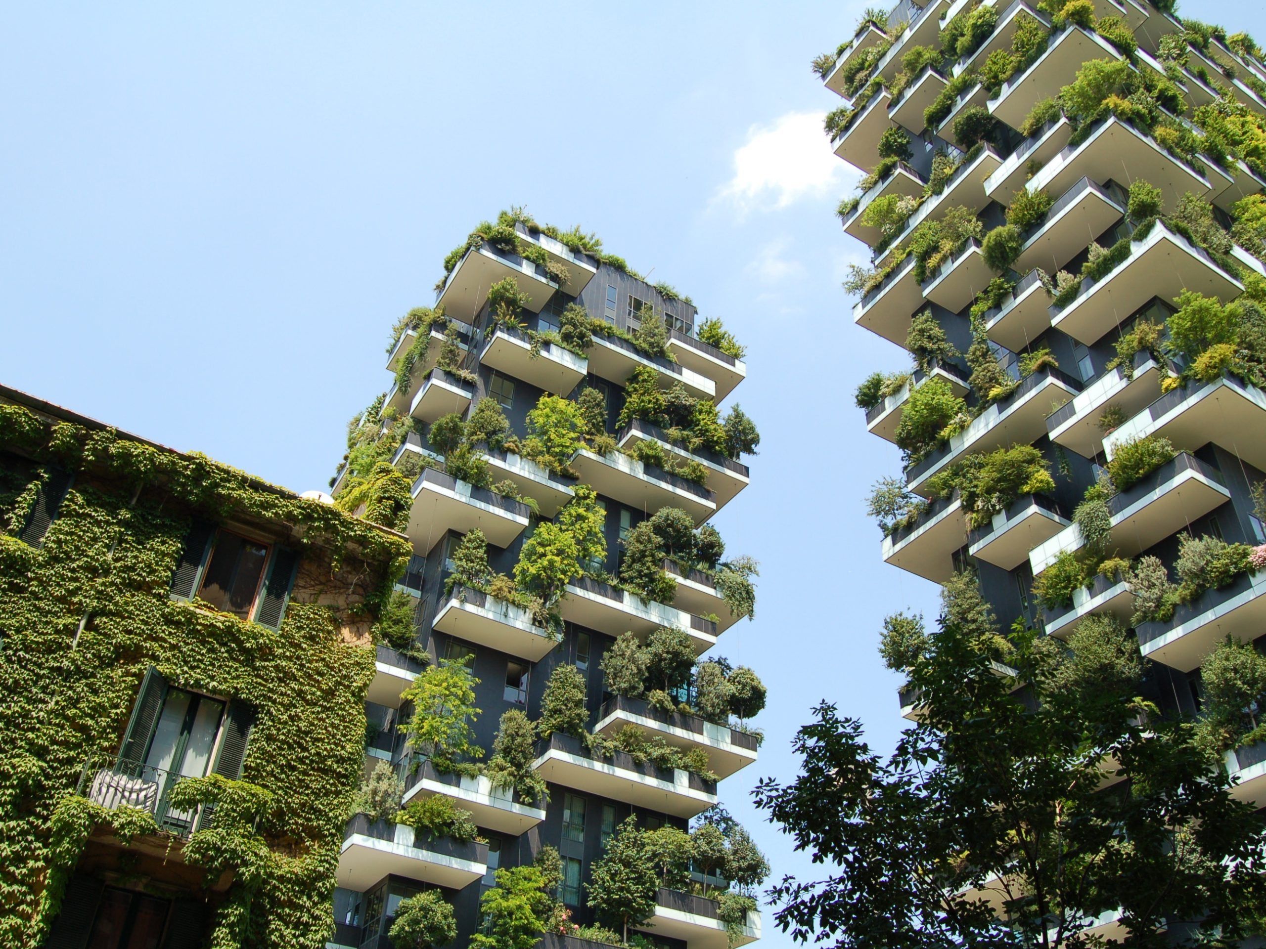 Why Environmental Building Certification Matters