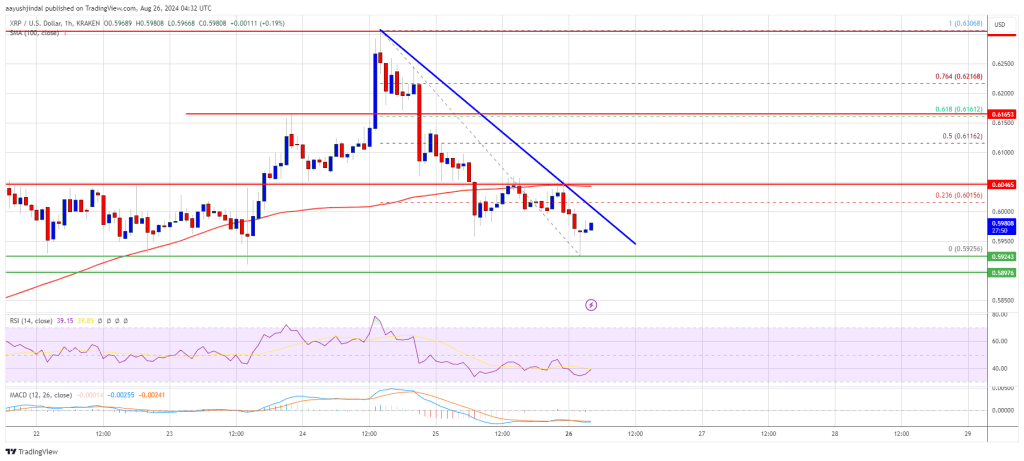 XRP Price