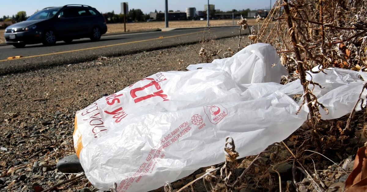 California governor signs law banning all plastic shopping bags at grocery stores