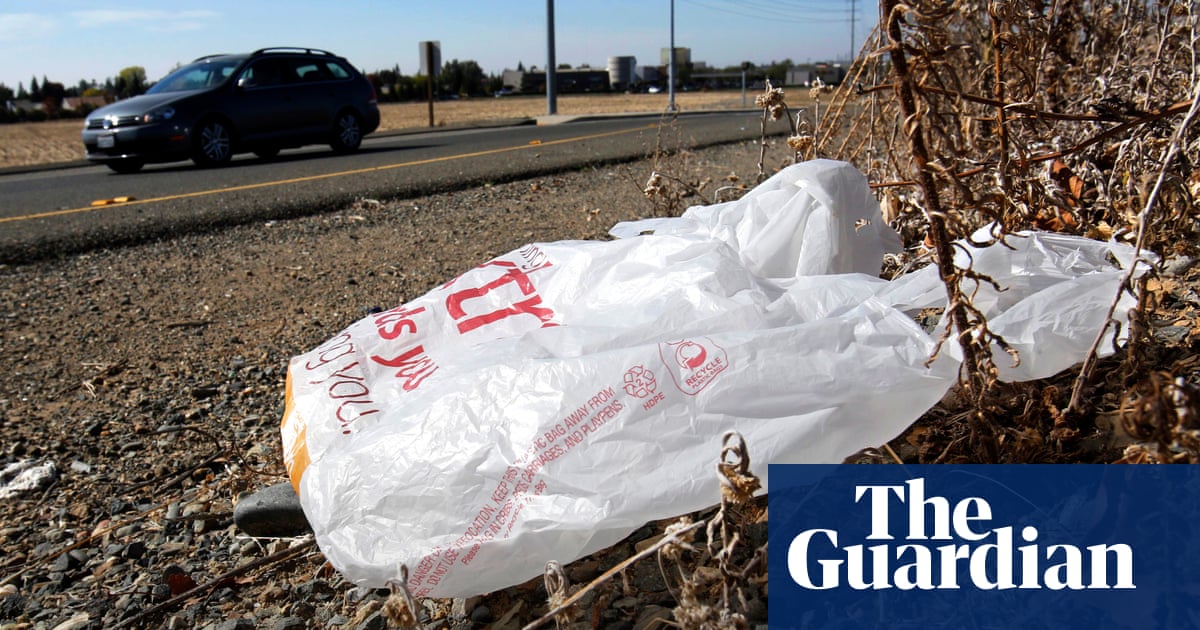 California’s Gavin Newsom signs law banning all plastic bags at grocery stores | California