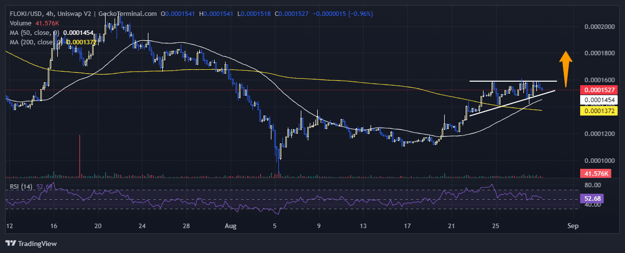 Floki Price Chart Analysis Source: GeckoTerminal.com