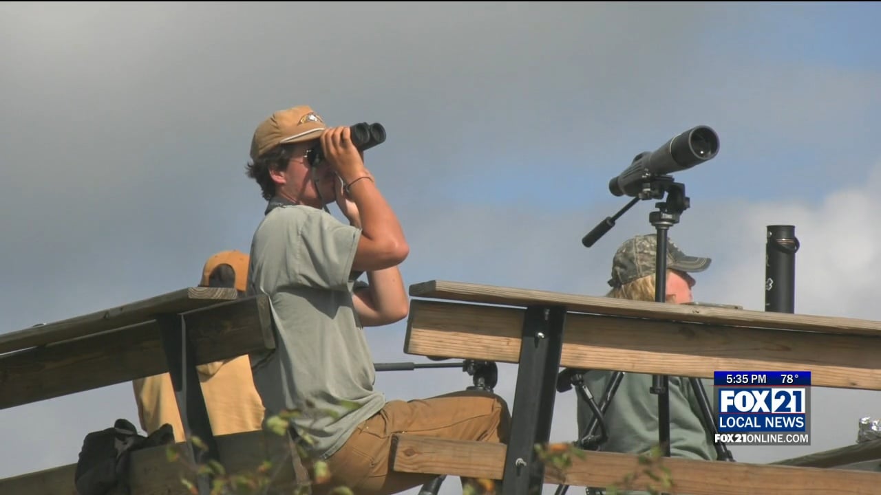 Hawk Weekend Takes Flight at Hawk Ridge