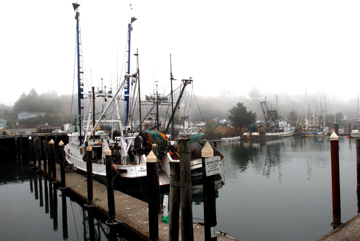 NOAA fishery councils prepare to adapt to climate change