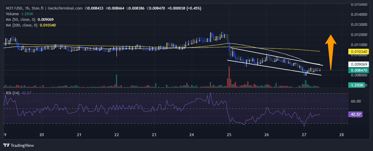 Notcoin Price Chart Analysis Source: GeckoTerminal.com