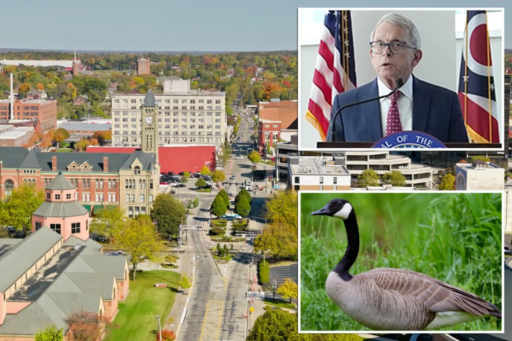 Springfield, Ohio, man reported Haitian migrants snatching geese