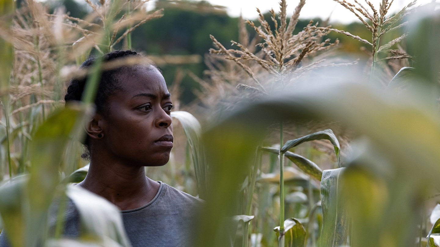 Survival Thriller 40 Acres Explores Dystopia From a Black Perspective