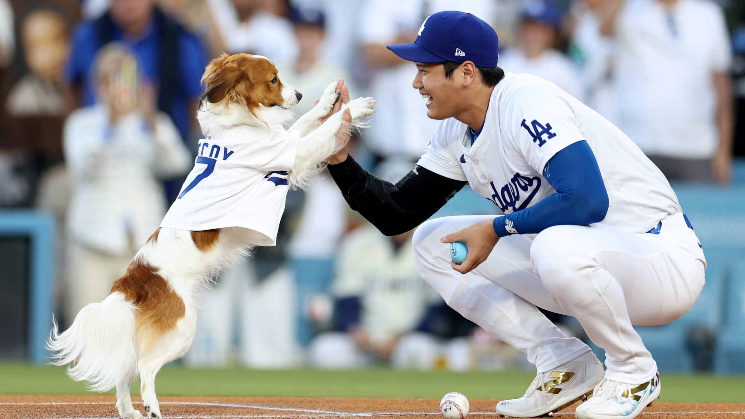 What to expect from Dodgers superstar Shohei Ohtani's return to Anaheim