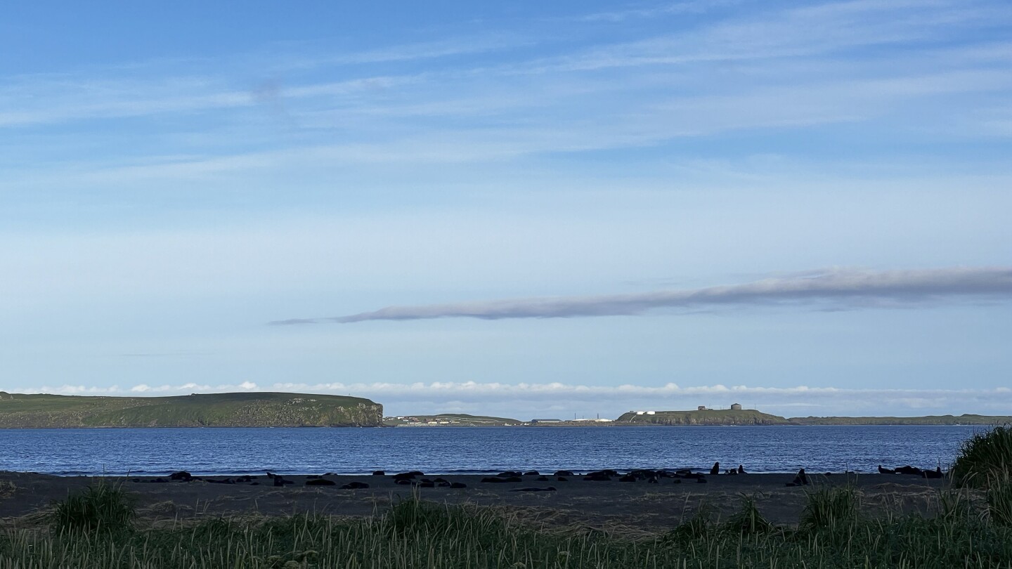 Why an Alaska island is using peanut butter and black lights to find a rat that might not exist