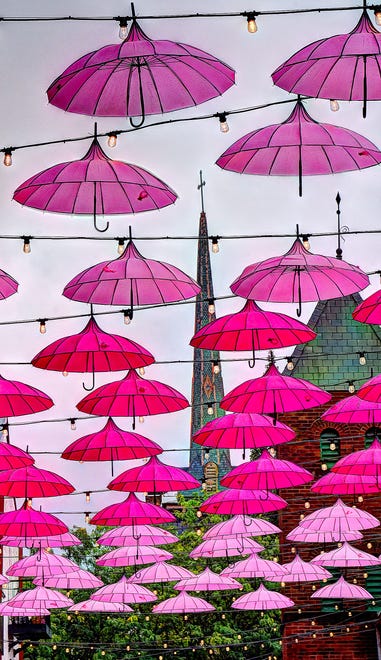 The Pink Power Parasol Project is now hanging in the Cherry Lane Alley behind Central Market in York. About 100 parasols were hung Thursday, September 26, 2024, and will remain there throughout October to bring awareness to Breast Cancer Awareness Month. The North George Street bridge over the Codorus Creek is also decorated. Bil Bowden photo