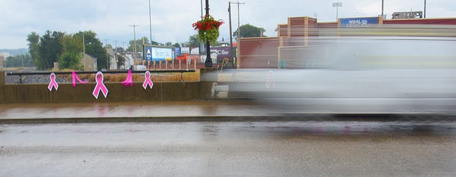 The Pink Power Parasol Project is now hanging in the Cherry Lane Alley behind Central Market in York. About 100 parasols were hung Thursday, September 26, 2024, and will remain there throughout October to bring awareness to Breast Cancer Awareness Month. The North George Street bridge over the Codorus Creek is also decorated. Bil Bowden photo