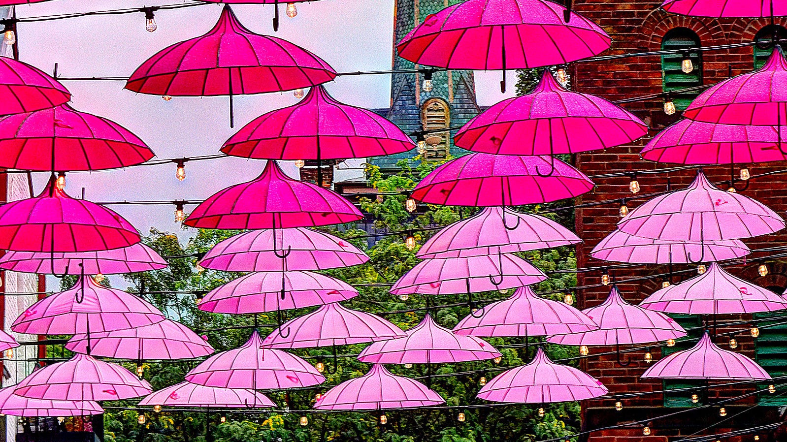 Pink Parasol Project at Central Market for Breast Cancer Awareness Month