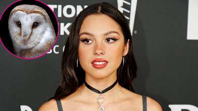 Olivia Rodrigo Reveals Fear of Birds — See Stars' Biggest Phobias