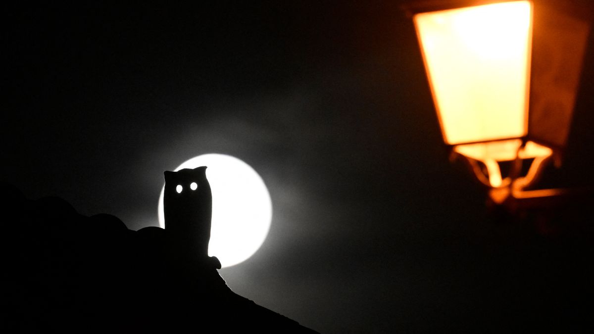 the silhouette of a halloween owl decoration sits in front of the white full moon. On the right in the foreground, a yellow sreat lamp.