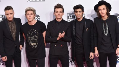 Breaking Down the One Direction Guys’ Solo Careers by the Numbers