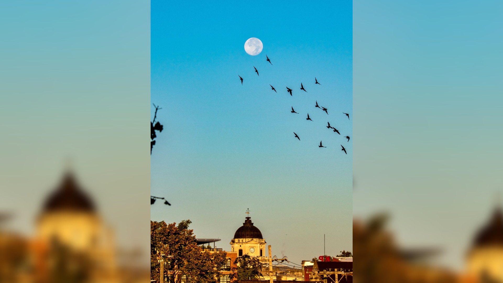 the full moon rises over buildings in a clear blue sky