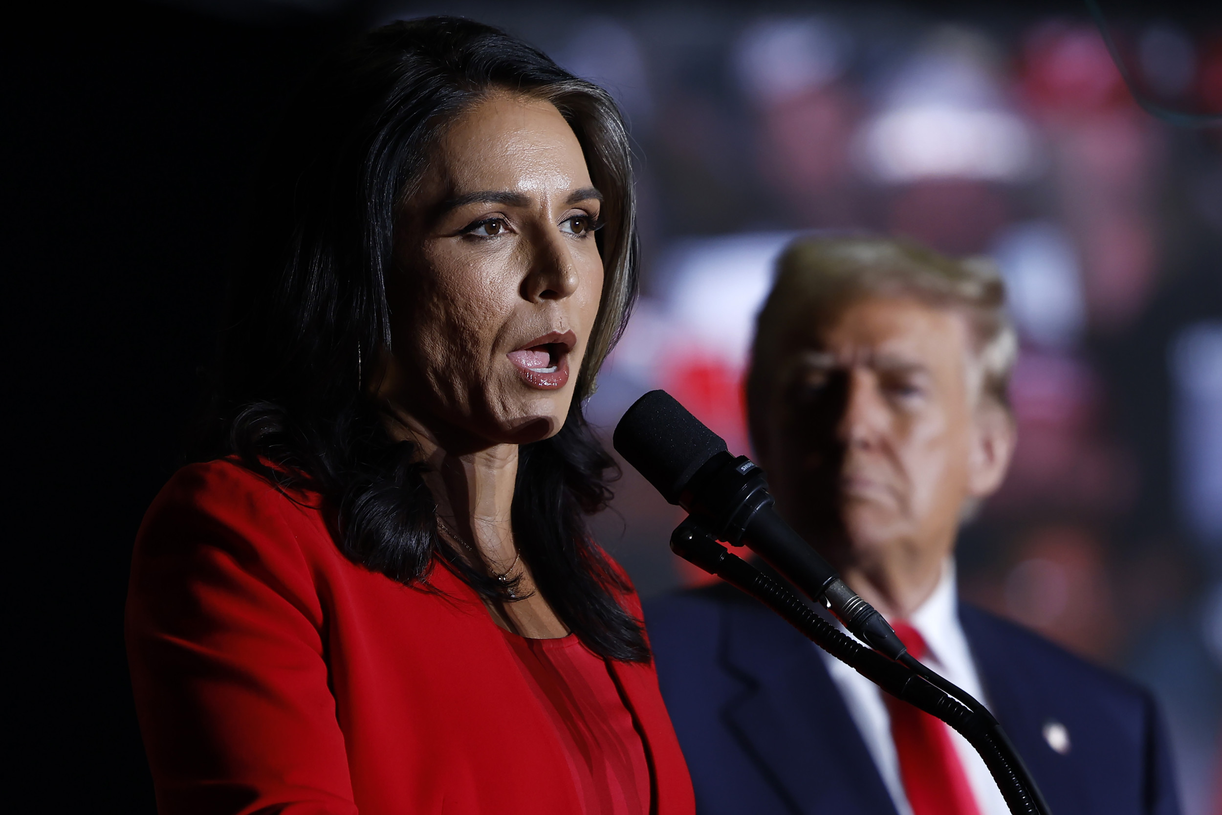 Tulsi Gabbard Turning Republican Is 'Surprise' to Donald Trump