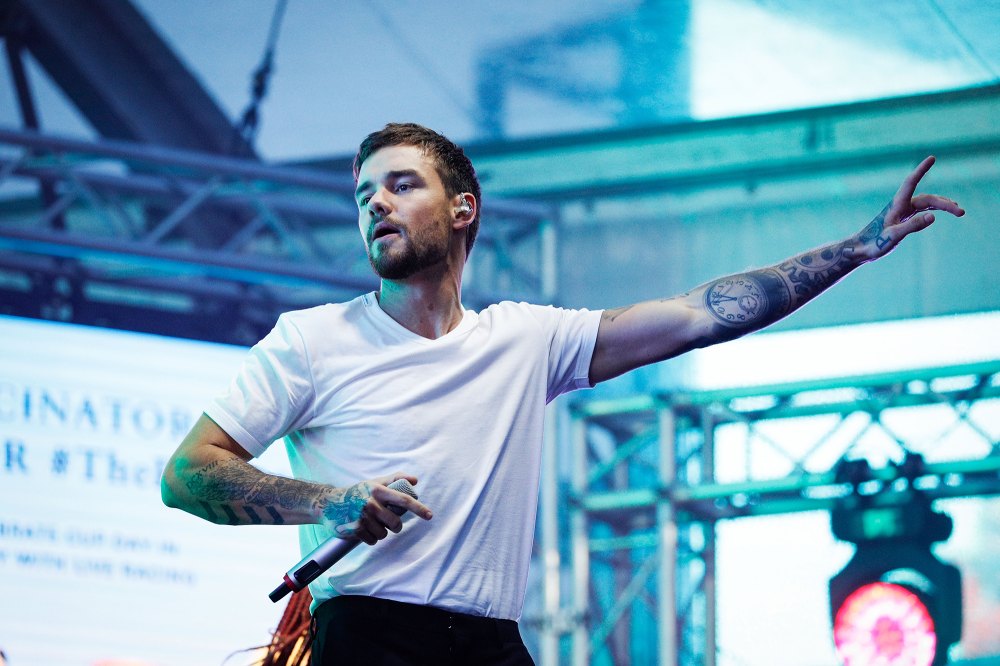 Liam Payne Building the Band Reality Show Future Undecided After His Death