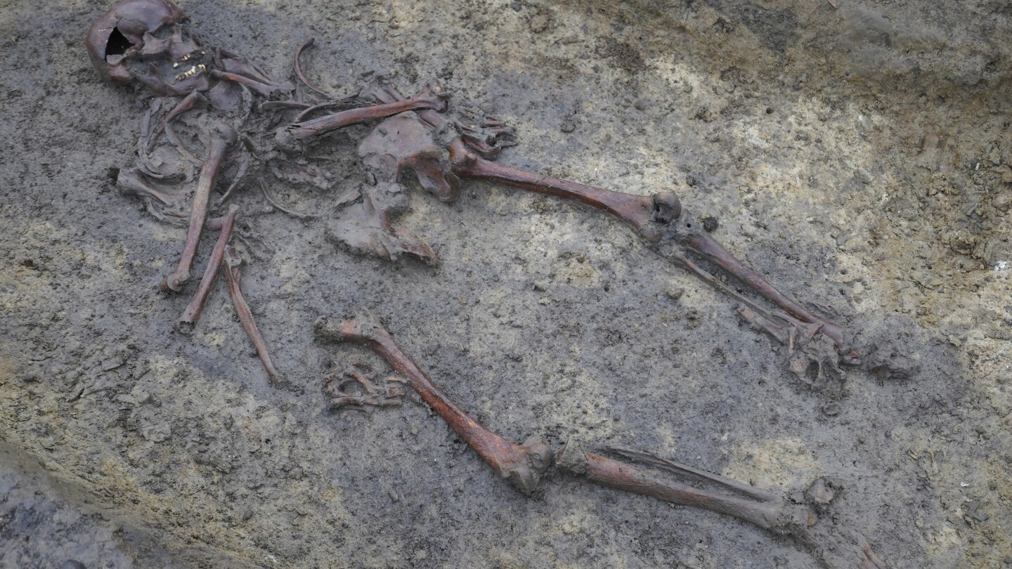 50 Viking Age skeletons unearthed in Denmark