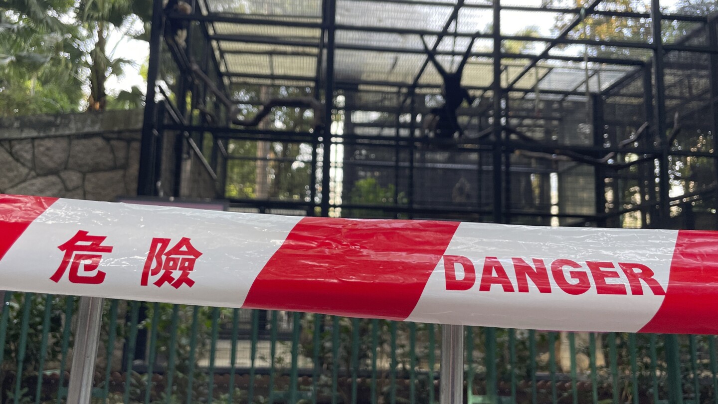 9 monkeys die in 2 days under mysterious circumstances at Hong Kong zoo