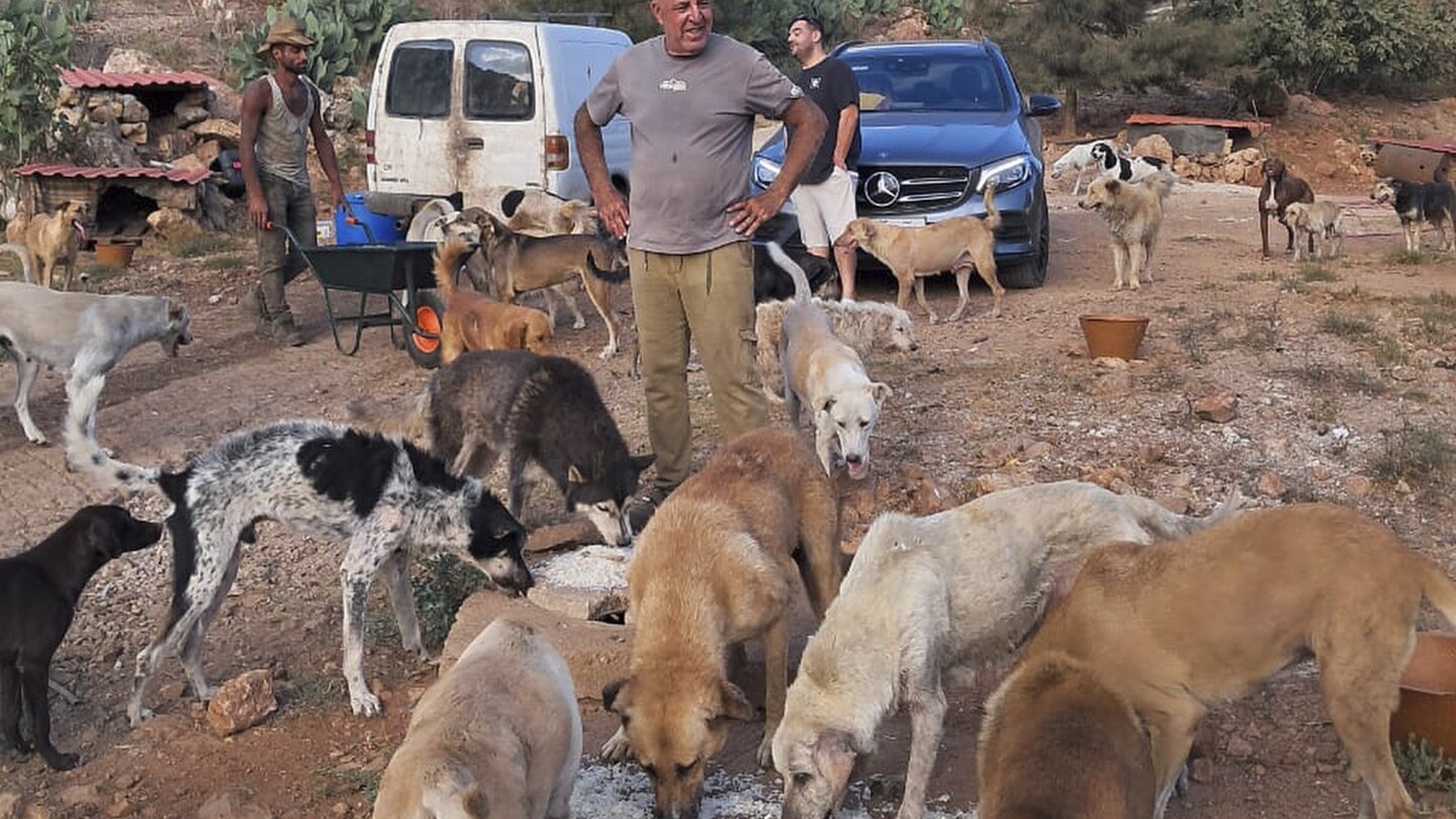 A man in south Lebanon cares for pets left behind as residents flee Israeli strikes