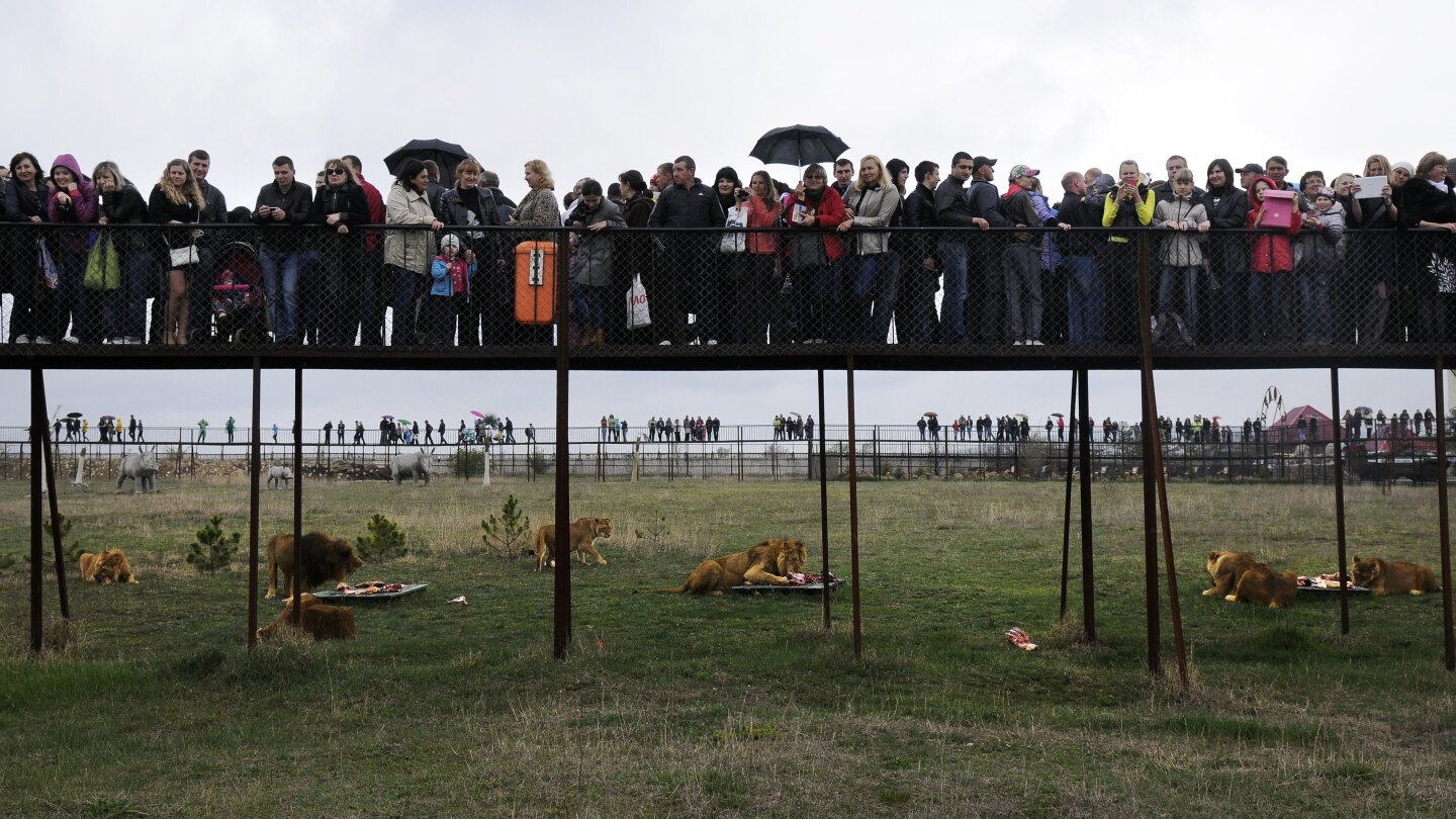 A worker at a Crimean wildlife park has been killed by lions