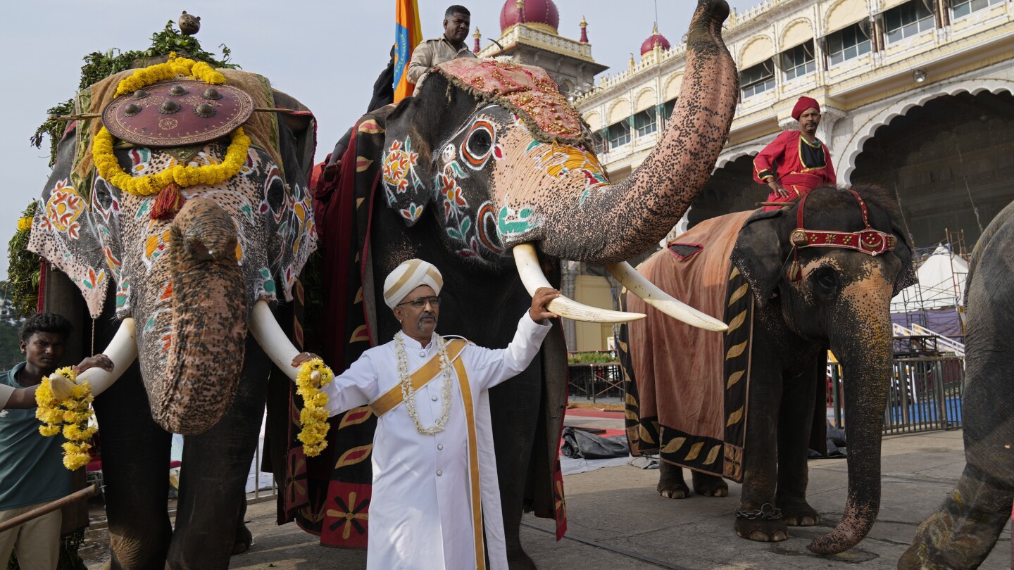 AP PHOTOS: An elephant procession for Dussehra draws a crowd in the former Mysore kingdom