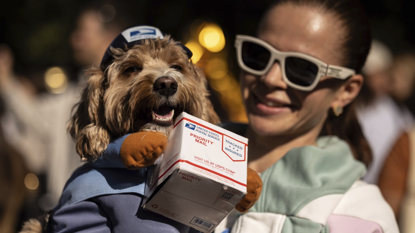 Dogs dressed to the nines for annual New York City Halloween event