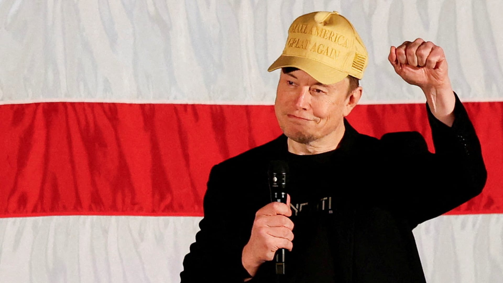 Elon Musk offers $1 million a day to entice swing state voters