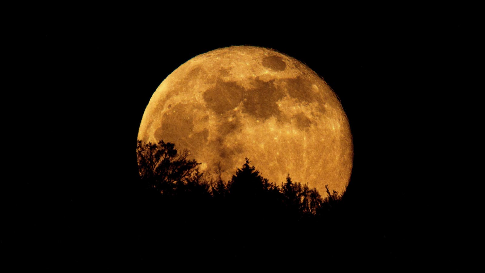 Hunter’s Supermoon Will Emerge Tonight—Here’s What To See It Best