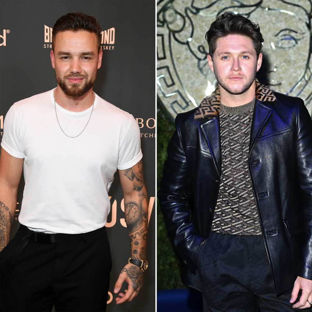 Liam Payne and Niall Horan friendship timeline